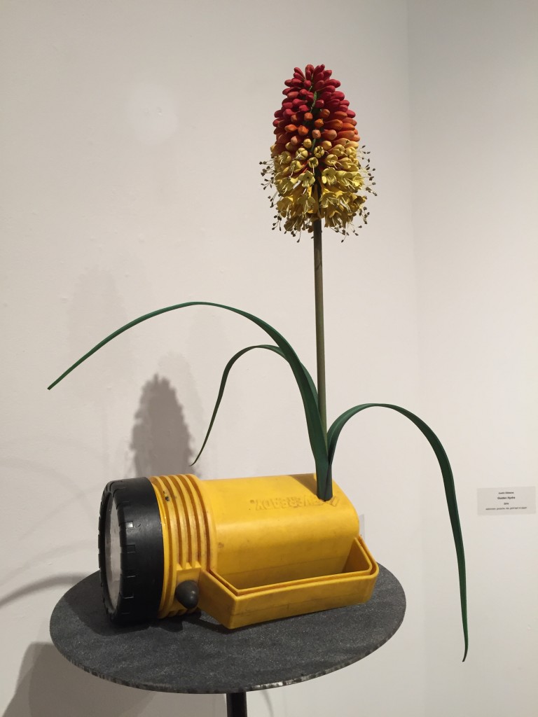 "Kniphofia (Torch Lily)" by Renee Adams